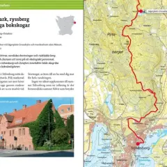 Vandra Skåneleden genom bokskogar och längs kusten. Upptäck Sölvesborgs medeltida charm och njut av naturen.