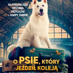 Gdzie obejrzeć film o psie który jeździł koleją online i za darmo