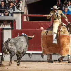 Joaquín Moreno Silva, un torero a caballo, se enfrenta a un toro en la arena.