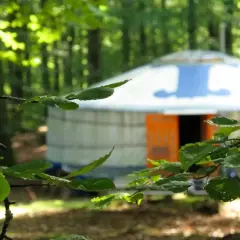 En rund yurt med orange dörr står i en skog. Nyrups Naturhotell erbjuder en unik vistelse bland träden.