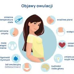 Ilustracja przedstawia objawy owulacji, w tym ból jajnika (Mittelschmerz), zmiany temperatury, wrażliwość piersi i inne.