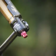 Close-up of a gold and black Fox 36 FIT4 fork with Kashima Coat, featuring the GRIP2 damper and a red adjustment knob.