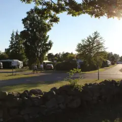 Solig dag på haga park camping. Husvagnar och bilar står uppradade på gräsmattor.