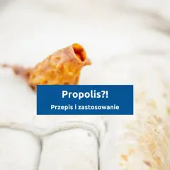Fragment propolisu na rękawicy pszczelarza. Dowiedz się, jak zrobić propolis i jak go stosować.