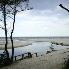 Plaża nad Jeziorem Żarnowieckim, z meandrującą rzeką wpadającą do morza. Idealne miejsce na relaks i podziwianie natury.