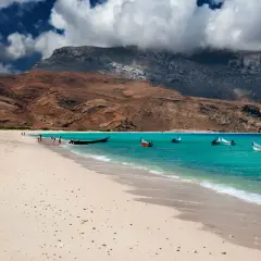 Piękna plaża na Sokotrze, idealna na wycieczkę. Sprawdź cenę i odkryj rajskie krajobrazy!