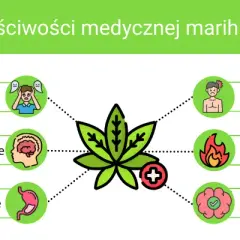 THC: Jak działa, co czujesz i czy medyczna marihuana jest dla Ciebie?