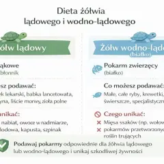 Ilustracja porównuje dietę żółwia lądowego i wodno-lądowego. Żółw w domu potrzebuje odpowiednego pokarmu.