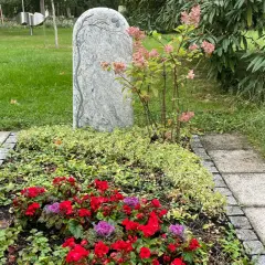 Ein Grabstein mit Baumgravur, umgeben von bunten Blumen und immergrünen Pflanzen. Dauerhafte Grabbepflanzung Beispiele für eine liebevolle Gestaltung.