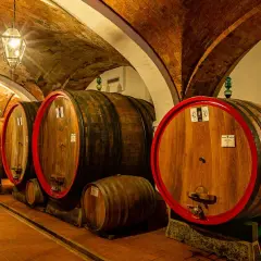 Le cantine di Montepulciano, con botti di legno e soffitti a volta in mattoni, custodiscono il vino.