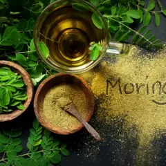 Jak prawidłowo pić herbatę moringa - kompletny poradnik parzenia naparu
