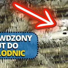 Jak lutować chłodnice - uniknij najczęstszych błędów i oszczędź pieniądze