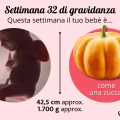 Feto di 32 settimane, lungo 42,5 cm e con un peso feto 32 settimane di circa 1.700 g, paragonato a una zucca.