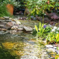 Ein kleiner Wasserfall plätschert in einen Teich, umgeben von üppigen wasserpflanzen und bunten Blumen. Steine und Kies säumen das Ufer.