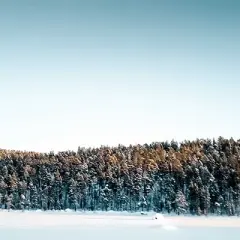 Finlandia wódka ile ma procent? Odkryj różne warianty i moc