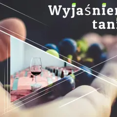 Wyjaśnienie tanin: kieliszek czerwonego wina, winogrona i beczki w dłoni.