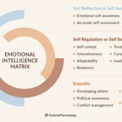 Emotional Intelligence Matrix diagram. It illustrates how insight and awareness contribute to self-reflection, self-regulation, and empathy, fostering personal growth.