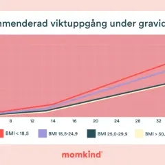 Graf som visar rekommenderad viktuppgång under graviditeten för olika BMI. En hälsosam viktuppgång är viktig.