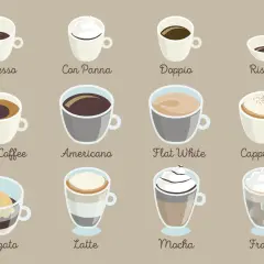 Ilustracja przedstawia 12 rodzajów kawy, od espresso po frappe. Zastanawiasz się nad kawą z automatu kcal?