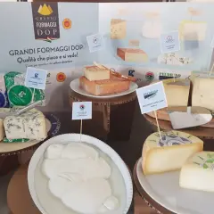 Varietà di formaggi DOP, tra cui Gorgonzola, Asiago, Pecorino Sardo e Mozzarella di Bufala Campana, presentati in un'esposizione dedicata ai grandi formaggi DOP.