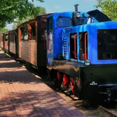 Najciekawsze atrakcje w Hajnówce, które musisz zobaczyć