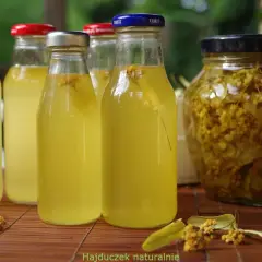 Butelki z domowym syropem z lipy, obok słoik z kwiatami lipy. Naturalny, orzeźwiający napój.