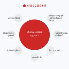 Kiedy jest owulacja? Oblicz, rozpoznaj objawy i zwiększ szanse!