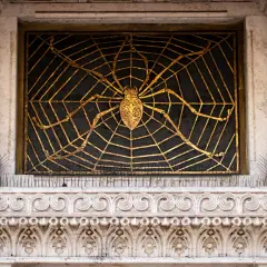 Ragno dorato su ragnatela nera, dettaglio architettonico del quartiere Coppedè interni.