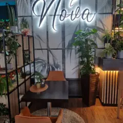 Gdzie zjeść w Solec-Zdroju? Odkryj najlepsze restauracje i smaki