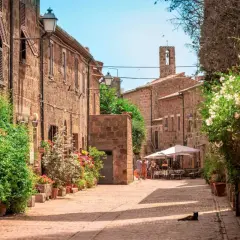 Un gatto nero riposa al sole in un vicolo fiorito della Maremma Grossetana. Case in pietra, lampioni e un campanile completano la scena.