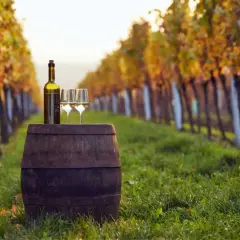 Una bottiglia e due calici di vino bianco su una botte in un vigneto toscano al tramonto, tra filari di viti dai colori autunnali. Un invito a gustare i famosi vini toscani.