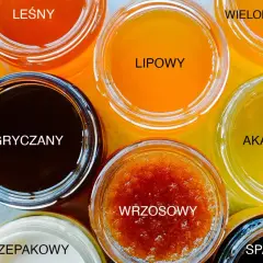 Siedem słoików z różnymi rodzajami miodu: leśny, gryczany, lipowy, wrzosowy, wielokwiatowy, akacjowy, spadziowy.
