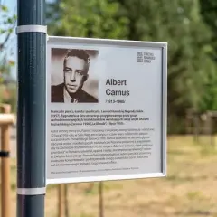 Albert Camus - jego życie, filozofia i wpływ na literaturę