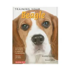 Tresura beagle'a: Skuteczny poradnik krok po kroku. Koniec z ucieczkami!