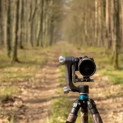Profesjonalny aparat na statywie czeka na uchwycenie piękna lasu. To idealne miejsce na fotografia przyrody.