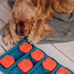 Ein Cocker Spaniel liegt vor einem Intelligenzspielzeug, bereit für das Hunde Kopftraining.