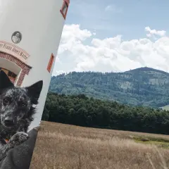 Psy na szlaku Biskupia Kopa. Wieża widokowa Kaiser Franz Josef Warte i malownicze góry.