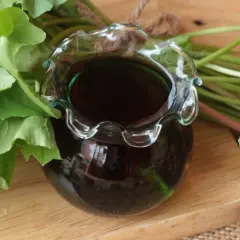 Ciemny płyn w ozdobnym naczyniu, otoczony zielonymi liśćmi. Może to być składnik do domowego **przepis na maggi w płynie**.