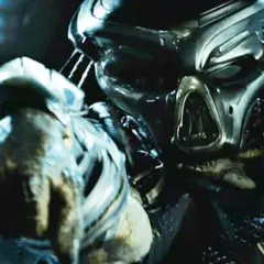 Predator Prey kiedy na Netflix? Sprawdź, czy film jest dostępny