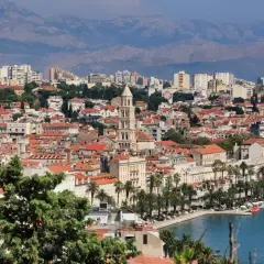 Widok na miasto Split z palmami i morzem. W oddali góry. Mnóstwo atrakcji turystycznych czeka na odkrycie.