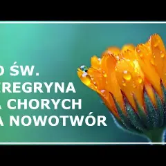 Modlitwa do świętego, który uzdrawia z raka – jak prosić o pomoc?