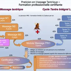 Schéma du cycle de formation professionnelle certifiante en massages tantriques, incluant les modules M1, M2, M3, Tantra T1-T4, et la certification PRO.