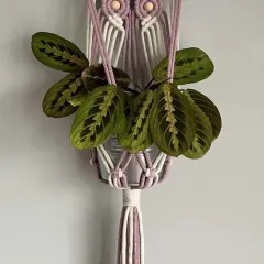 Kwietnik DIY: Drewno, makrama, metal stwórz unikalną ozdobę!