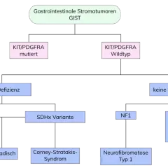 Flussdiagramm zur Klassifizierung von GIST-Tumoren basierend auf Genmutationen und SDH-Defizienz.