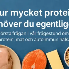 Fakta om protein: kyckling, lax, ost och kikärtor. Hur mycket protein behöver du?