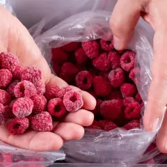 Dłonie przesypują mrożone maliny z woreczka. Idealne do smoothie i deserów przez cały rok.