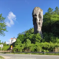 Maczuga Herkulesa, skalny olbrzym, stoi dumnie obok zamku na wzgórzu. Gdzie jest Maczuga Herkulesa? W Ojcowskim Parku Narodowym.