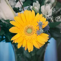 Słoneczna gerbera w bukiecie na imieniny Justyny.