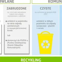 Styropian: Żółty, czarny czy PSZOK? Segreguj bez błędów!