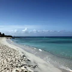 Piękna plaża na Karaibach, część dawnych **Netherlands Antilles**. Turkusowa woda, biały piasek i palmy tworzą rajski krajobraz.